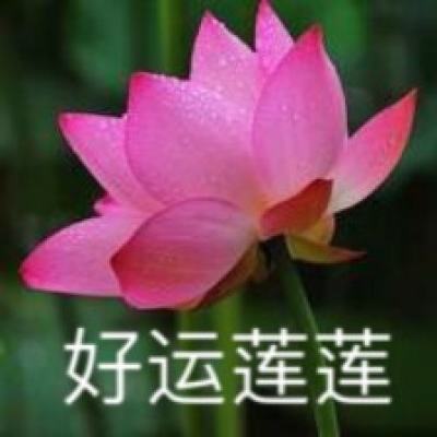 第二届情牵两岸·爱在岭南——交流联谊活动在阳江举行